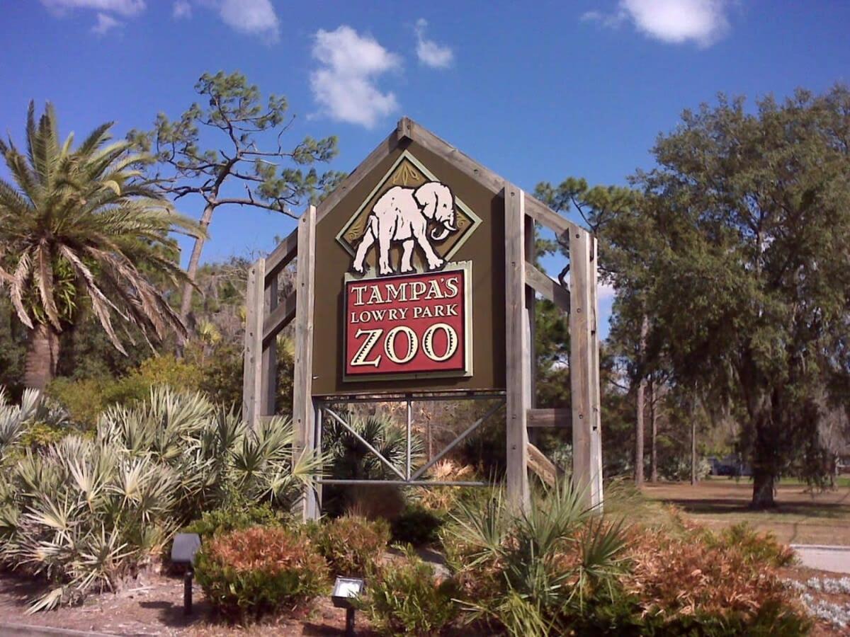 4Bd 2 Mi To Usf Free Pool + 24 Hour Gym Villa Tampa Exterior photo