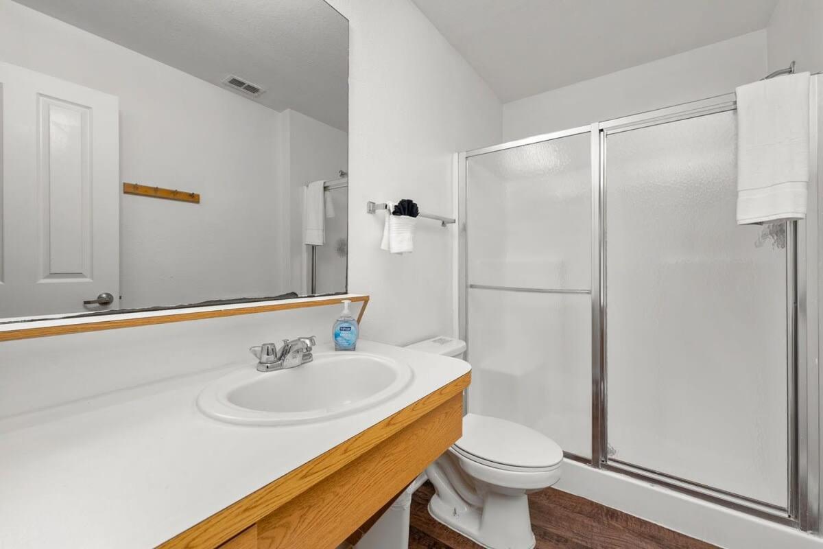 4Bd 2 Mi To Usf Free Pool + 24 Hour Gym Villa Tampa Exterior photo
